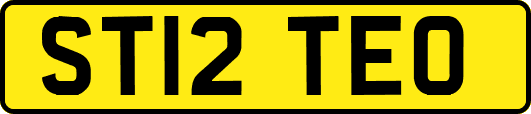 ST12TEO