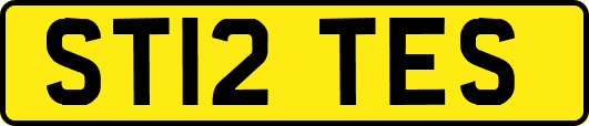 ST12TES