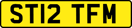 ST12TFM