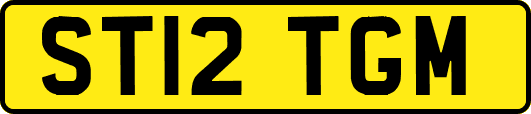 ST12TGM