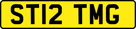 ST12TMG