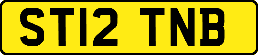 ST12TNB