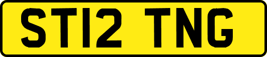 ST12TNG