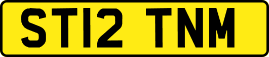 ST12TNM