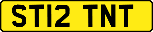 ST12TNT
