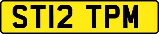 ST12TPM