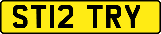 ST12TRY