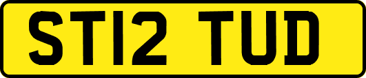 ST12TUD