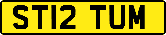 ST12TUM