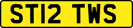 ST12TWS