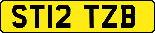 ST12TZB