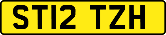ST12TZH