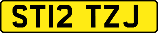 ST12TZJ