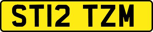 ST12TZM