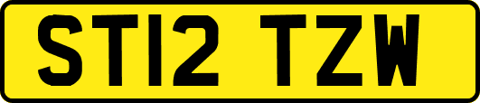 ST12TZW