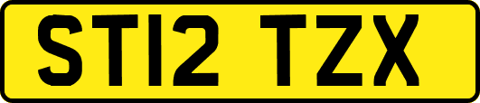 ST12TZX