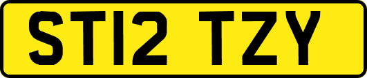 ST12TZY