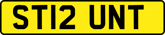 ST12UNT
