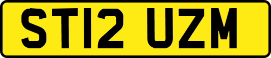 ST12UZM
