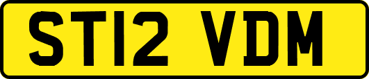 ST12VDM