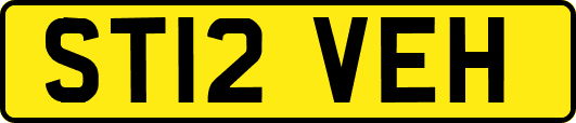ST12VEH