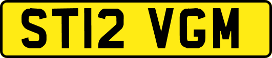 ST12VGM