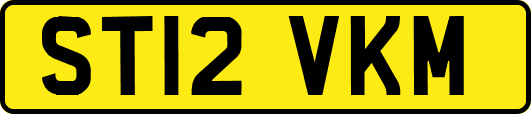 ST12VKM