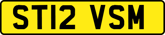 ST12VSM