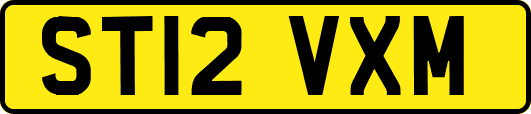 ST12VXM