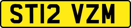 ST12VZM