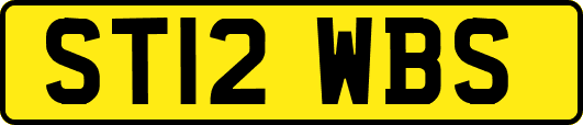 ST12WBS