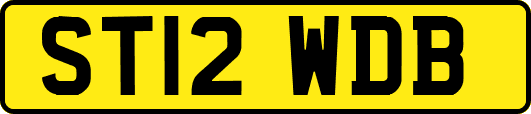 ST12WDB