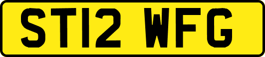 ST12WFG