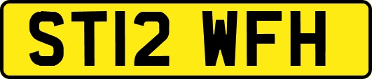 ST12WFH