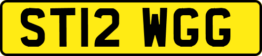 ST12WGG