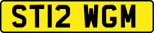 ST12WGM
