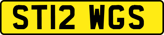 ST12WGS