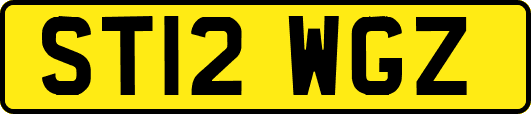 ST12WGZ