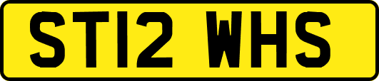 ST12WHS