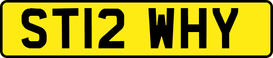 ST12WHY
