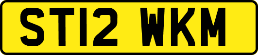 ST12WKM