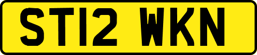 ST12WKN