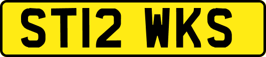 ST12WKS