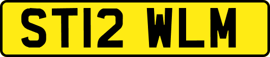 ST12WLM