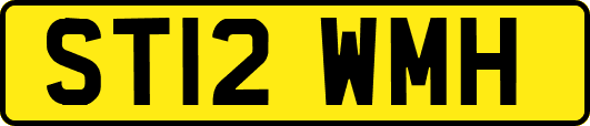 ST12WMH