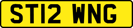 ST12WNG