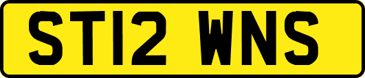 ST12WNS