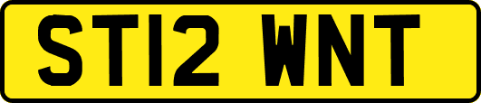 ST12WNT