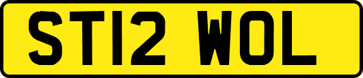 ST12WOL