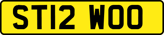 ST12WOO